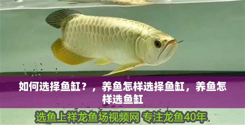 如何選擇魚缸？，養魚怎樣選擇魚缸，養魚怎樣選魚缸