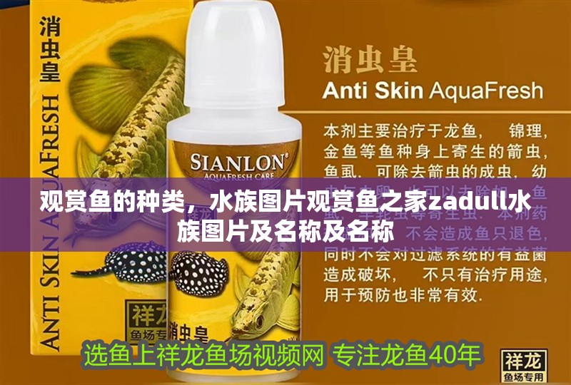 觀賞魚的種類，水族圖片觀賞魚之家zadull水族圖片及名稱及名稱