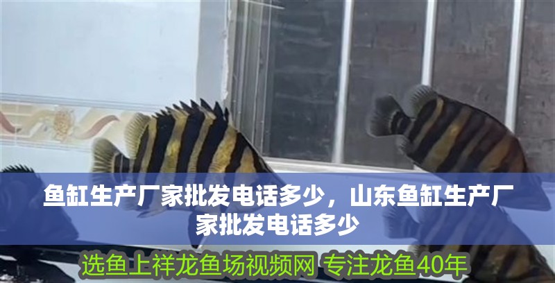 魚缸生產廠家批發電話多少，山東魚缸生產廠家批發電話多少