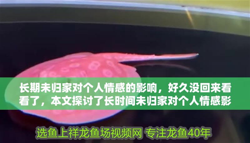 長期未歸家對個人情感的影響，好久沒回來看看了，本文探討了長時間未歸家對個人情感影響