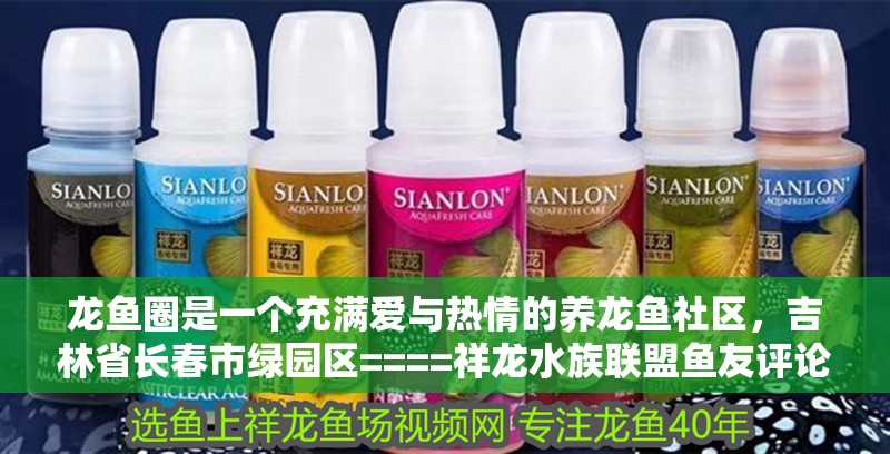 龍魚圈是一個充滿愛與熱情的養(yǎng)龍魚社區(qū)，吉林省長春市綠園區(qū)====祥龍水族聯(lián)盟魚友評論