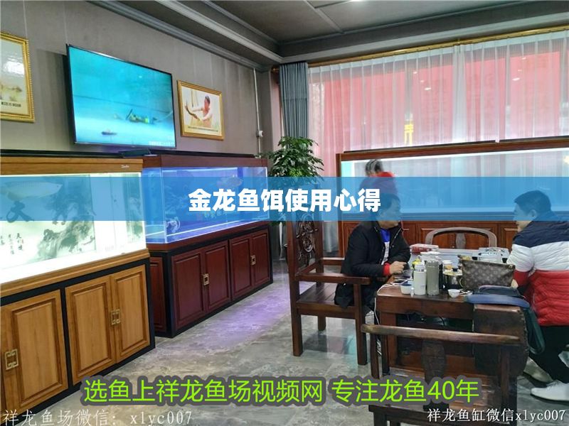 金龍魚餌使用心得