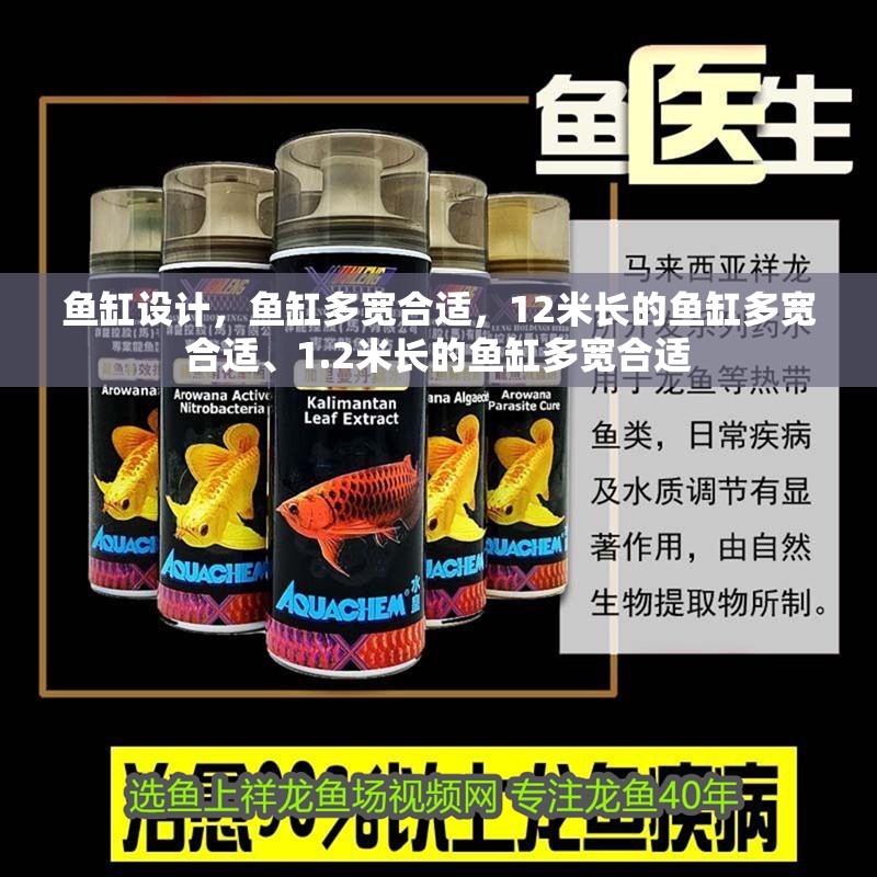 魚缸設計，魚缸多寬合適，12米長的魚缸多寬合適、1.2米長的魚缸多寬合適