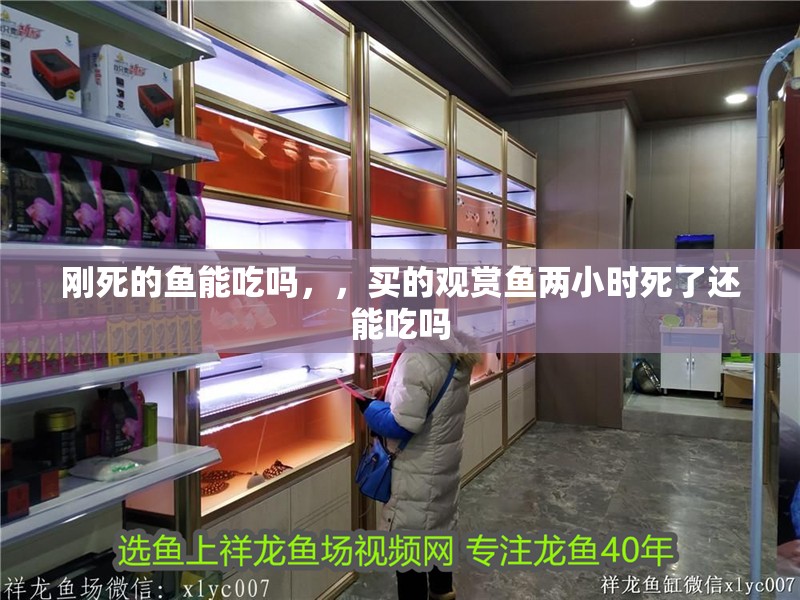 剛死的魚能吃嗎，，買的觀賞魚兩小時死了還能吃嗎