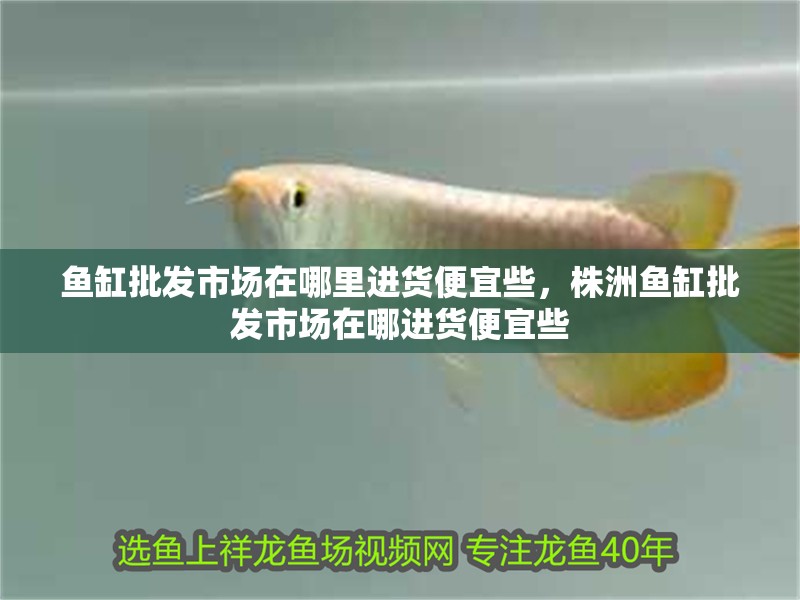 魚缸批發市場在哪里進貨便宜些，株洲魚缸批發市場在哪進貨便宜些