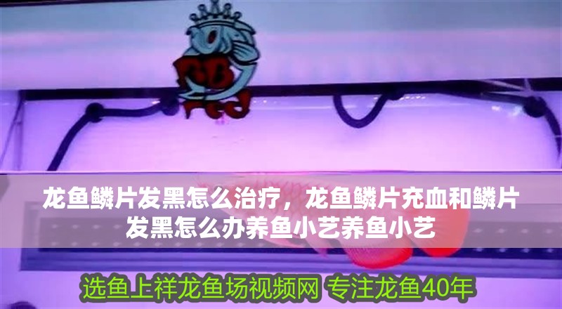 龍魚鱗片發(fā)黑怎么治療，龍魚鱗片充血和鱗片發(fā)黑怎么辦養(yǎng)魚小藝養(yǎng)魚小藝