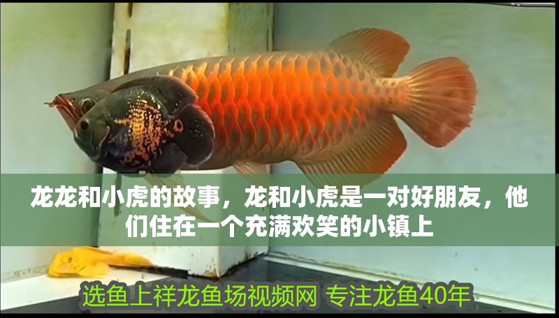 龍龍和小虎的故事，龍和小虎是一對好朋友，他們住在一個充滿歡笑的小鎮(zhèn)上