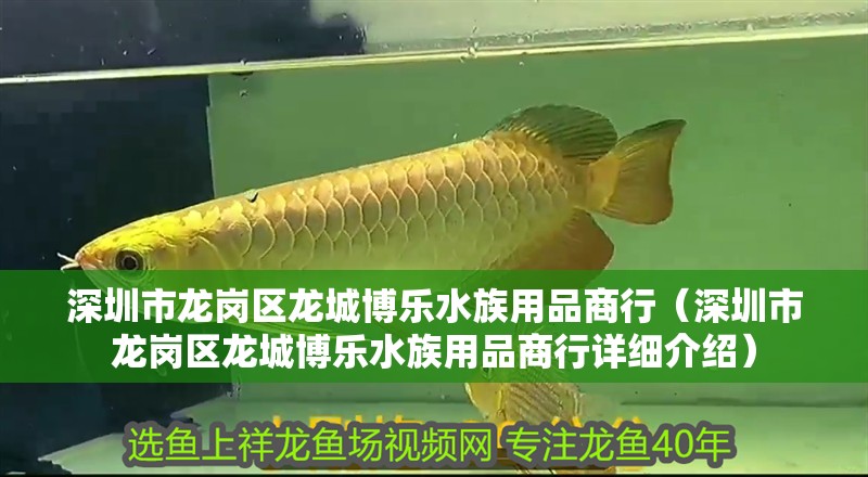 <strong><mark>深圳</mark></strong>市龍崗區(qū)龍城博樂水族用品商行（<strong><mark>深圳</mark></strong>市龍崗區(qū)龍城博樂水族用品商行詳細介紹）
