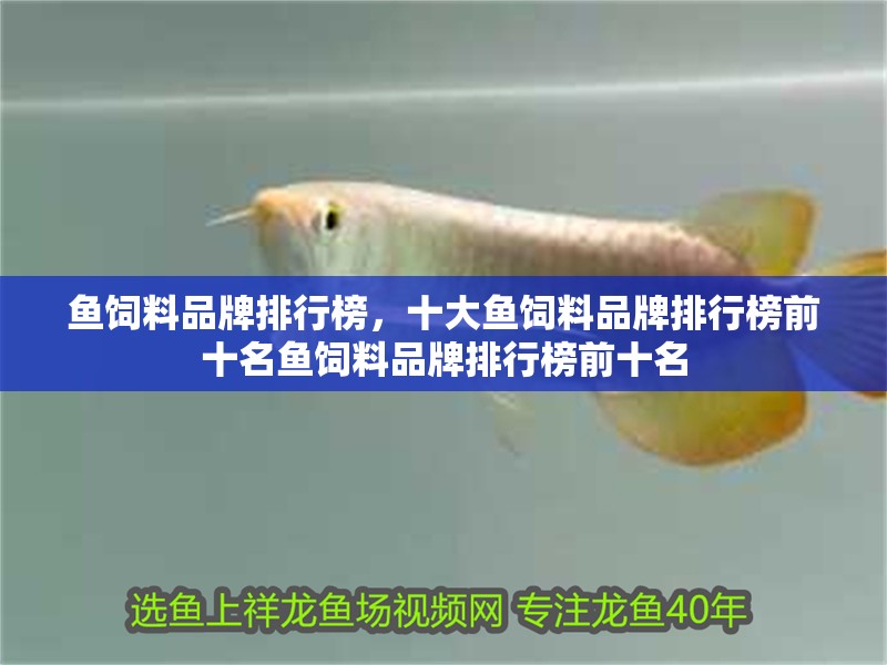 魚飼料品牌排行榜，十大魚飼料品牌排行榜前十名魚飼料品牌排行榜前十名 魚飼料品牌排行榜，十大魚飼料品牌排行榜前十名魚飼料品牌排行榜前十名 觀賞魚百科 第6張