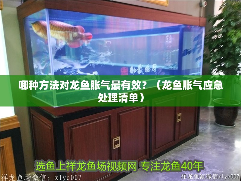 哪種方法對龍魚脹氣最有效？（龍魚脹氣應急處理清單）