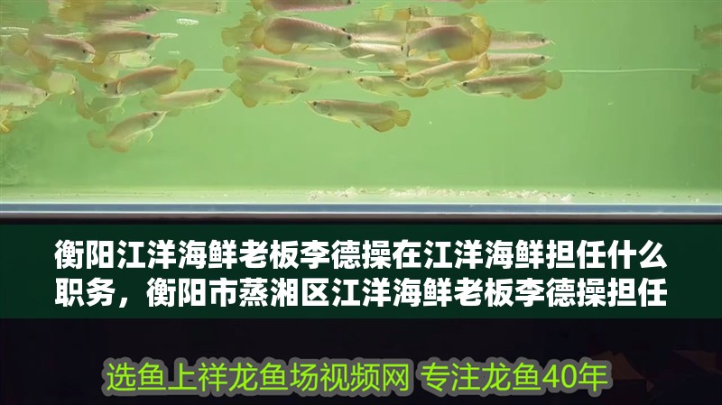 衡陽江洋海鮮老板李德操在江洋海鮮擔任什么職務，衡陽市蒸湘區江洋海鮮老板李德操擔任監事職務職務 衡陽江洋海鮮老板李德操在江洋海鮮擔任什么職務，衡陽市蒸湘區江洋海鮮老板李德操擔任監事職務職務 觀賞魚百科 第4張