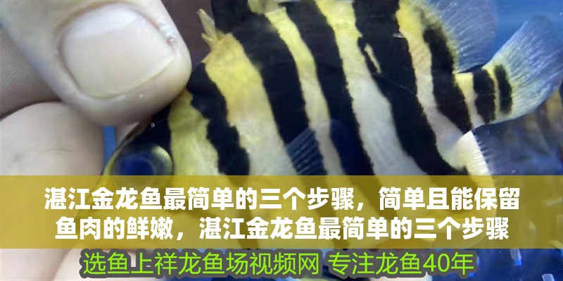 湛江金龍魚最簡(jiǎn)單的三個(gè)步驟，簡(jiǎn)單且能保留魚肉的鮮嫩，湛江金龍魚最簡(jiǎn)單的三個(gè)步驟