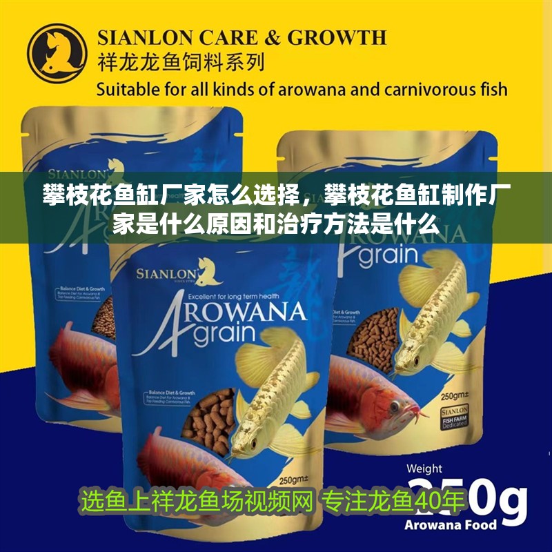 攀枝花魚(yú)缸廠家怎么選擇，攀枝花魚(yú)缸制作廠家是什么原因和治療方法是什么