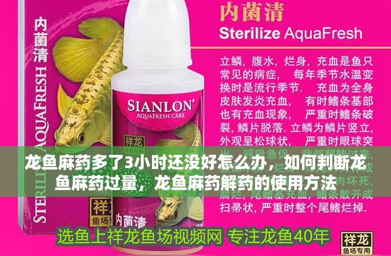 龍魚麻藥多了3小時還沒好怎么辦，如何判斷龍魚麻藥過量，龍魚麻藥解藥的使用方法 龍魚麻藥多了3小時還沒好怎么辦，如何判斷龍魚麻藥過量，龍魚麻藥解藥的使用方法 龍魚百科 第2張