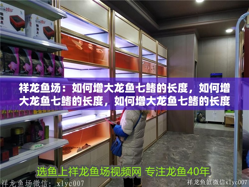 祥龍魚場：如何增大龍魚七鰭的長度，如何增大龍魚七鰭的長度，如何增大龍魚七鰭的長度