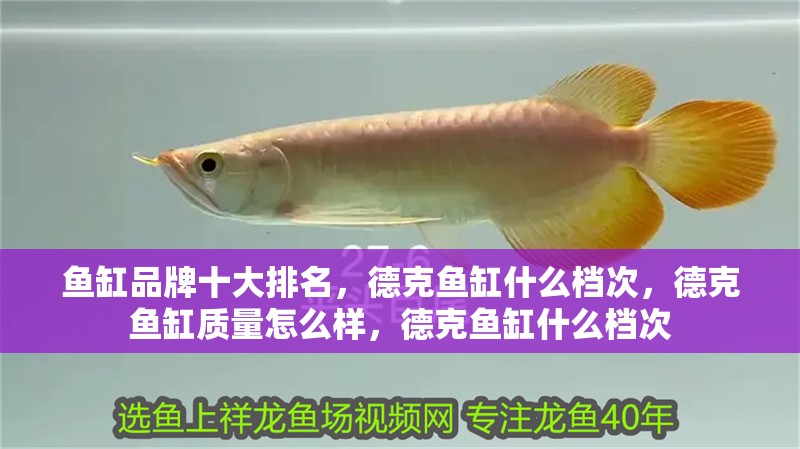 魚缸品牌十大排名，德克魚缸什么檔次，德克魚缸質量怎么樣，德克魚缸什么檔次