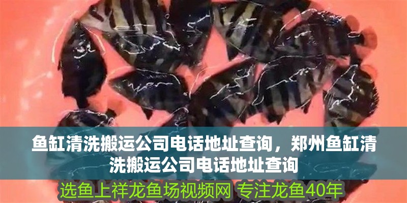 魚缸清洗搬運(yùn)公司電話地址查詢，鄭州魚缸清洗搬運(yùn)公司電話地址查詢