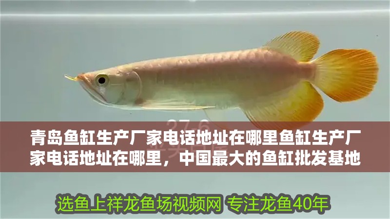 青島魚缸生產(chǎn)廠家電話地址在哪里魚缸生產(chǎn)廠家電話地址在哪里，中國(guó)最大的魚缸批發(fā)基地在哪里 青島魚缸生產(chǎn)廠家電話地址在哪里魚缸生產(chǎn)廠家電話地址在哪里，中國(guó)最大的魚缸批發(fā)基地在哪里 觀賞魚百科