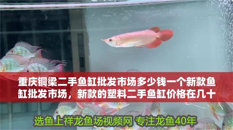 重慶銅梁二手魚缸批發市場多少錢一個新款魚缸批發市場，新款的塑料二手魚缸價格在幾十元