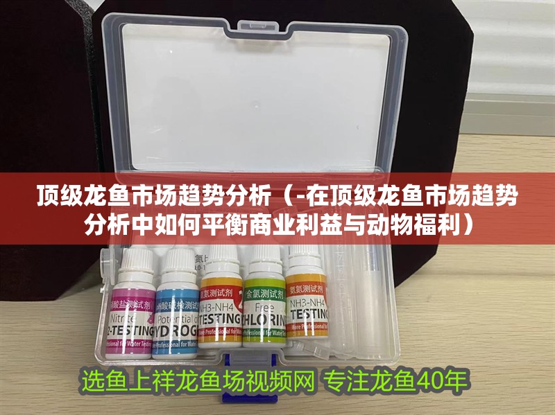 頂級龍魚市場趨勢分析（-在頂級龍魚市場趨勢分析中如何平衡商業利益與動物福利）