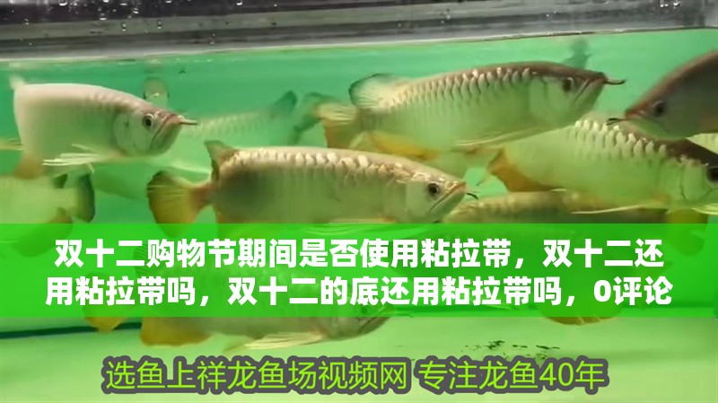 雙十二購物節期間是否使用粘拉帶，雙十二還用粘拉帶嗎，雙十二的底還用粘拉帶嗎，0評論，長兩米，寬七百 雙十二購物節期間是否使用粘拉帶，雙十二還用粘拉帶嗎，雙十二的底還用粘拉帶嗎，0評論，長兩米，寬七百 觀賞魚百科