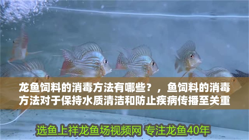 龍魚飼料的消毒方法有哪些？，魚飼料的消毒方法對于保持水質清潔和防止疾病傳播至關重要