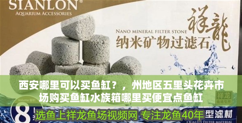 西安哪里可以買魚缸？，州地區五里頭花卉市場購買魚缸水族箱哪里買便宜點魚缸
