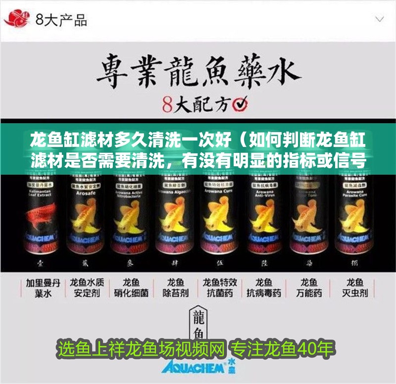 龍魚缸濾材多久清洗一次好（如何判斷龍魚缸濾材是否需要清洗，有沒有明顯的指標或信號？）