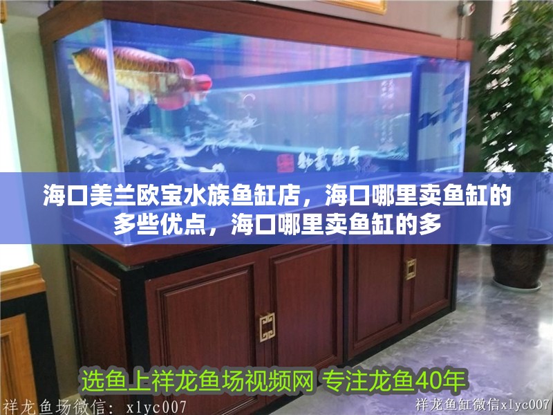 海口美蘭歐寶水族魚缸店，海口哪里賣魚缸的多些優(yōu)點，海口哪里賣魚缸的多