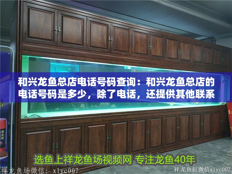 和興龍魚總店電話號碼查詢：和興龍魚總店的電話號碼是多少，除了電話，還提供其他聯系方式嗎