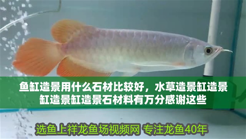 魚缸造景用什么石材比較好，水草造景缸造景缸造景缸造景石材料有萬分感謝這些