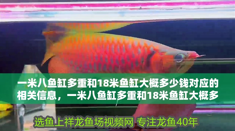 一米八魚缸多重和18米魚缸大概多少錢對應的相關信息，一米八魚缸多重和18米魚缸大概多少錢