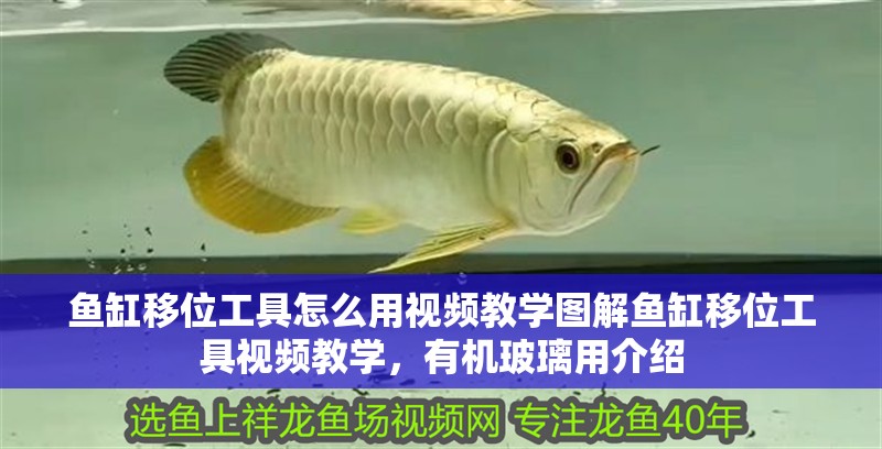 魚缸移位工具怎么用視頻教學(xué)圖解魚缸移位工具視頻教學(xué)，有機(jī)玻璃用介紹