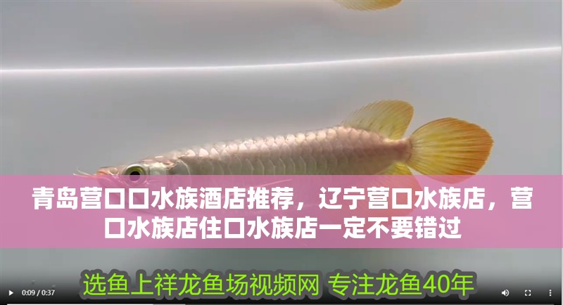 青島營口口水族酒店推薦，遼寧營口水族店，營口水族店住口水族店一定不要錯過