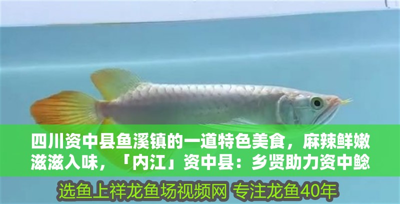 四川資中縣魚溪鎮的一道特色美食，麻辣鮮嫩滋滋入味，「內江」資中縣：鄉賢助力資中鯰魚傳承激活鄉村振興新動力