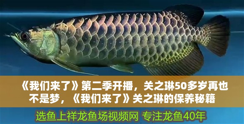 《我們來了》第二季開播，關之琳50多歲再也不是夢，《我們來了》關之琳的保養(yǎng)秘籍