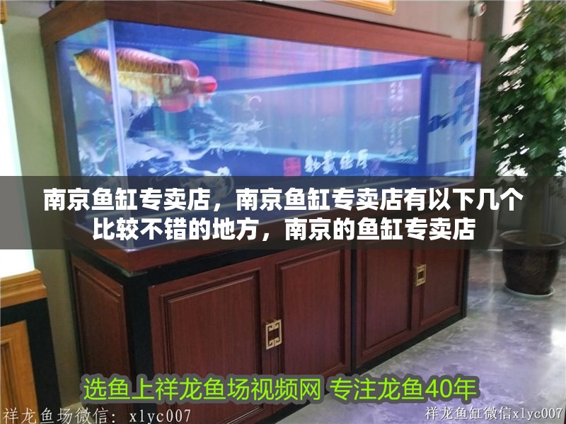 南京魚缸專賣店，南京魚缸專賣店有以下幾個比較不錯的地方，南京的魚缸專賣店