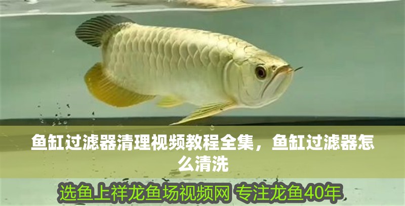 魚(yú)缸過(guò)濾器清理視頻教程全集，魚(yú)缸過(guò)濾器怎么清洗