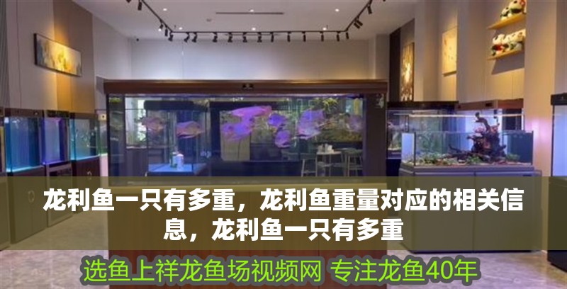 龍利魚一只有多重，龍利魚重量對應的相關信息，龍利魚一只有多重 龍利魚一只有多重，龍利魚重量對應的相關信息，龍利魚一只有多重 觀賞魚百科 第2張