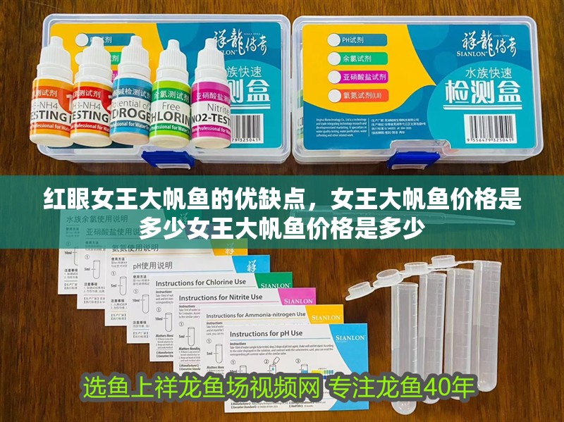 紅眼女王大帆魚的優缺點，女王大帆魚價格是多少女王大帆魚價格是多少 紅眼女王大帆魚的優缺點，女王大帆魚價格是多少女王大帆魚價格是多少 觀賞魚百科 第8張