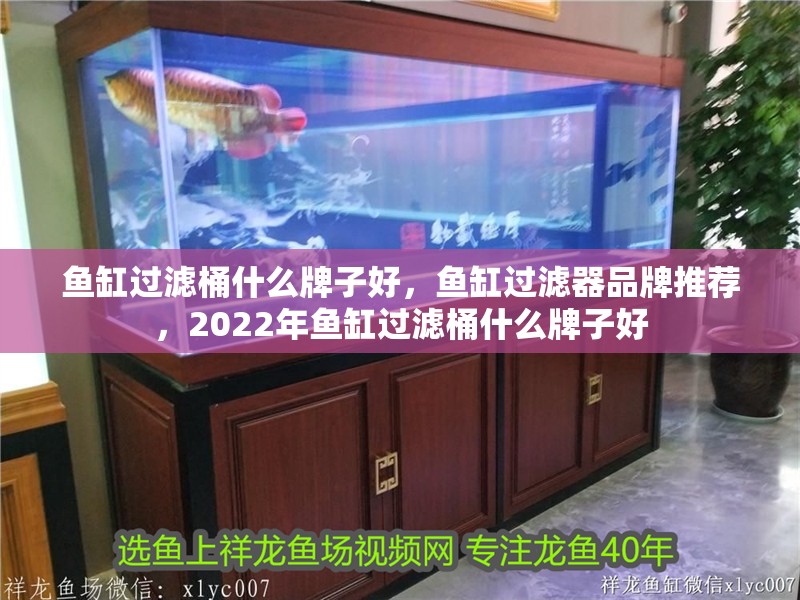 魚缸過濾桶什么牌子好，魚缸過濾器品牌推薦，2022年魚缸過濾桶什么牌子好