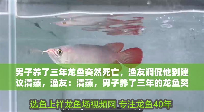 男子養(yǎng)了三年龍魚突然死亡，漁友調(diào)侃他到建議清蒸，漁友：清蒸，男子養(yǎng)了三年的龍魚突然死亡，網(wǎng)友：這是把龍魚變成自己身體的部分