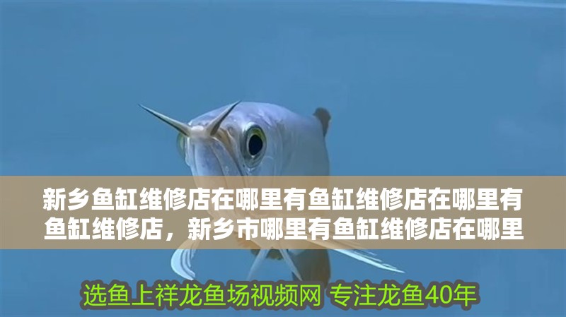新鄉魚缸維修店在哪里有魚缸維修店在哪里有魚缸維修店，新鄉市哪里有魚缸維修店在哪里有魚缸維修店在哪里
