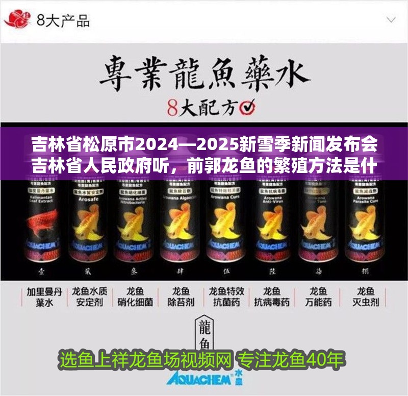 吉林省<strong><mark>松原</mark></strong>市2024—2025新雪季新聞發(fā)布會(huì)吉林省人民政府聽，前郭龍魚的繁殖方法是什么，前郭龍魚與查干湖冬捕有何關(guān)聯(lián)