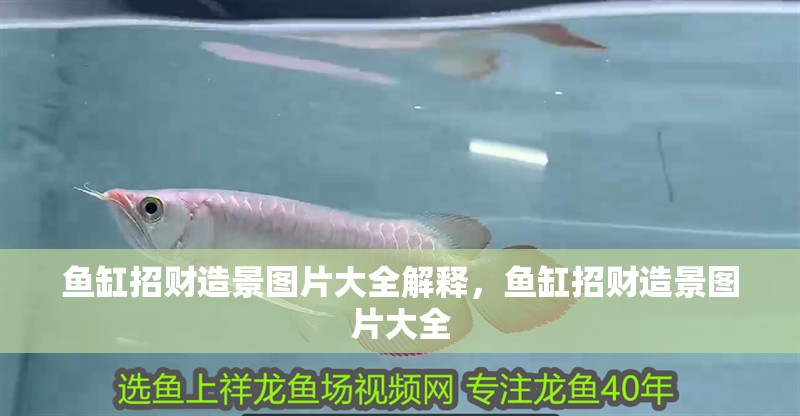 魚缸招財造景圖片大全解釋，魚缸招財造景圖片大全
