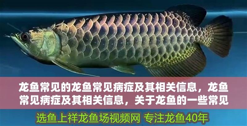 龍魚常見的龍魚常見病癥及其相關信息，龍魚常見病癥及其相關信息，關于龍魚的一些常見病癥癥狀和處理方法