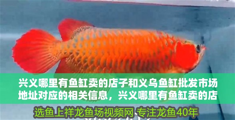興義哪里有魚缸賣的店子和義烏魚缸批發市場地址對應的相關信息，興義哪里有魚缸賣的店子義烏魚缸批發市場地址