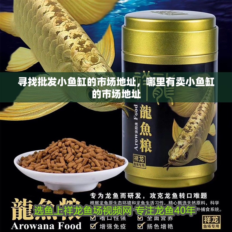 尋找批發小魚缸的市場地址，哪里有賣小魚缸的市場地址