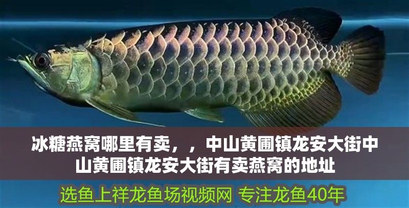 冰糖燕窩哪里有賣，，<strong><mark>中山</mark></strong>黃圃鎮龍安大街<strong><mark>中山</mark></strong>黃圃鎮龍安大街有賣燕窩的地址