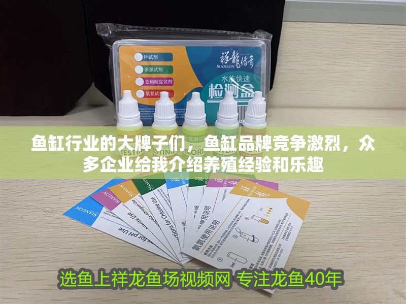 魚缸行業的大牌子們，魚缸品牌競爭激烈，眾多企業給我介紹養殖經驗和樂趣 魚缸行業的大牌子們，魚缸品牌競爭激烈，眾多企業給我介紹養殖經驗和樂趣 觀賞魚百科 第2張